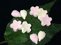 吉野懐古:松屋本店